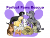 Logo of Perfect Paws Pet Rescue
